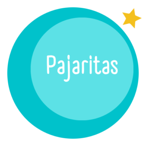 PAJARITAS